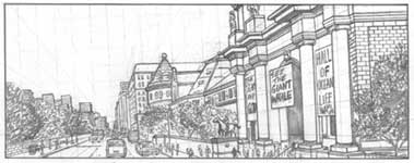 museum of natural history drawing
